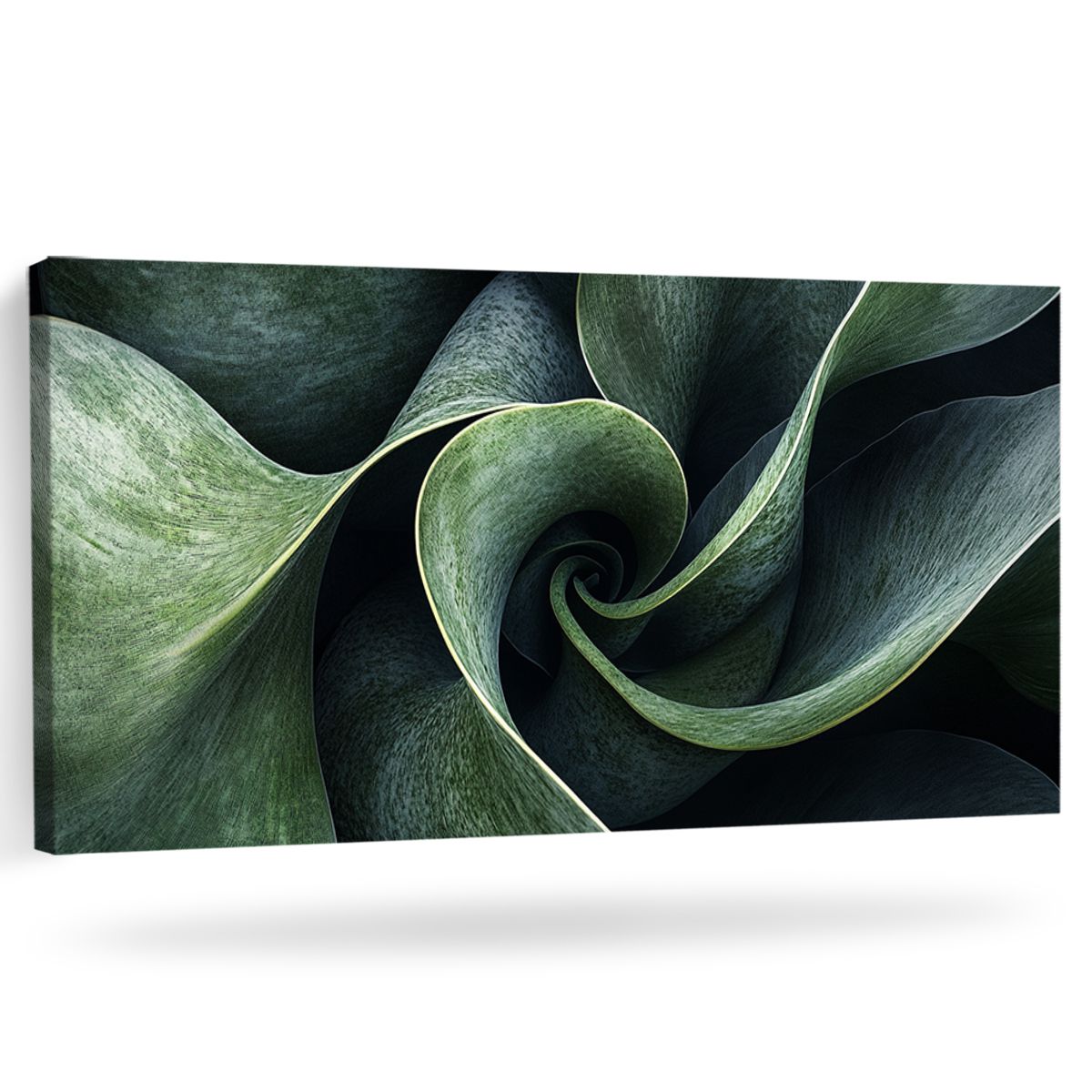 Botanical Minimalism Abstract Canvas Wall Art for Living Room