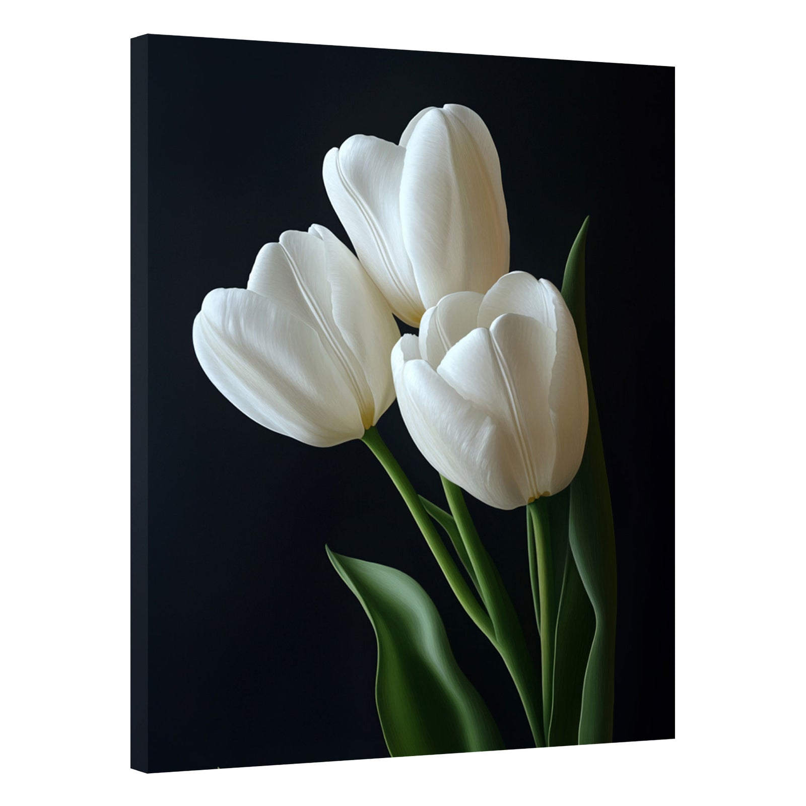 White Tulips On Dark Flower Art