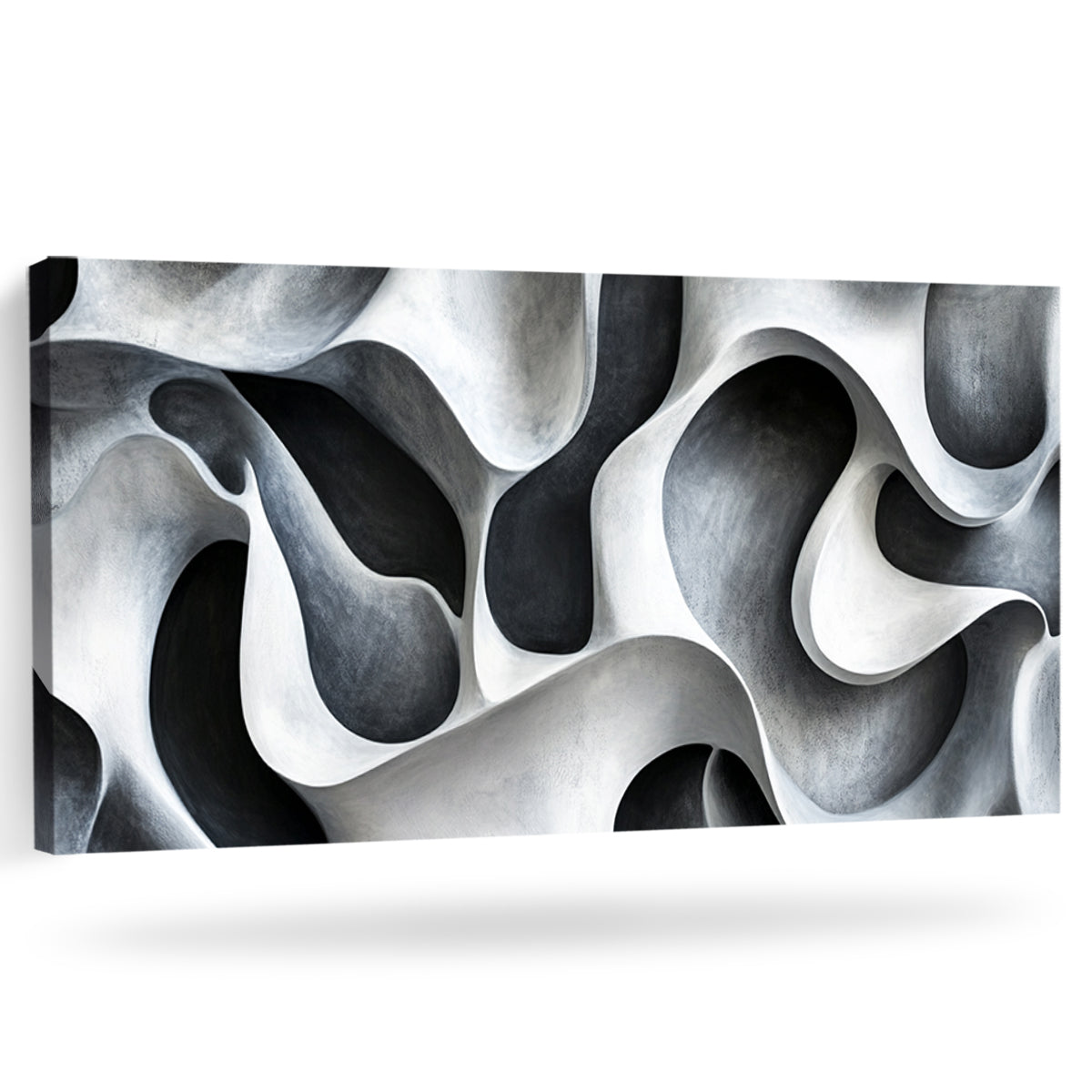 Fluid Forms Monochromatic Abstract Canvas Wall Art for Living Room