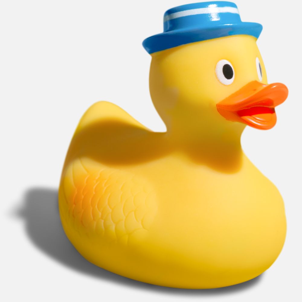 25 The Best Gifts For Duck Lovers That Will Make Them Happy