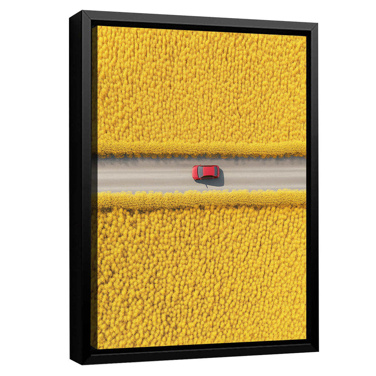Sunny Journey Fine Arts Print