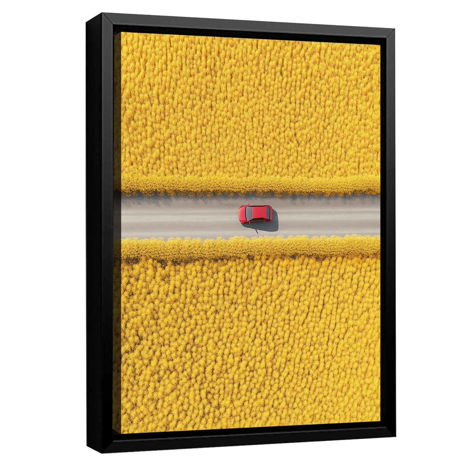 Sunny Journey Fine Arts Print
