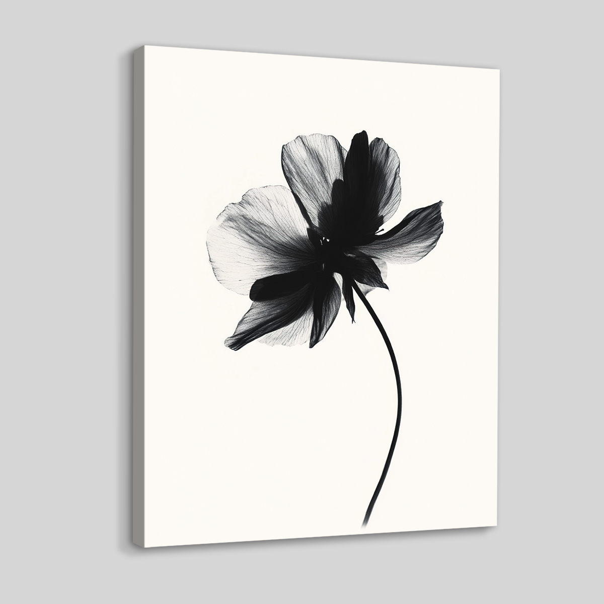 Shadow Bloom Abstract Floral Canvas Print for Living Room