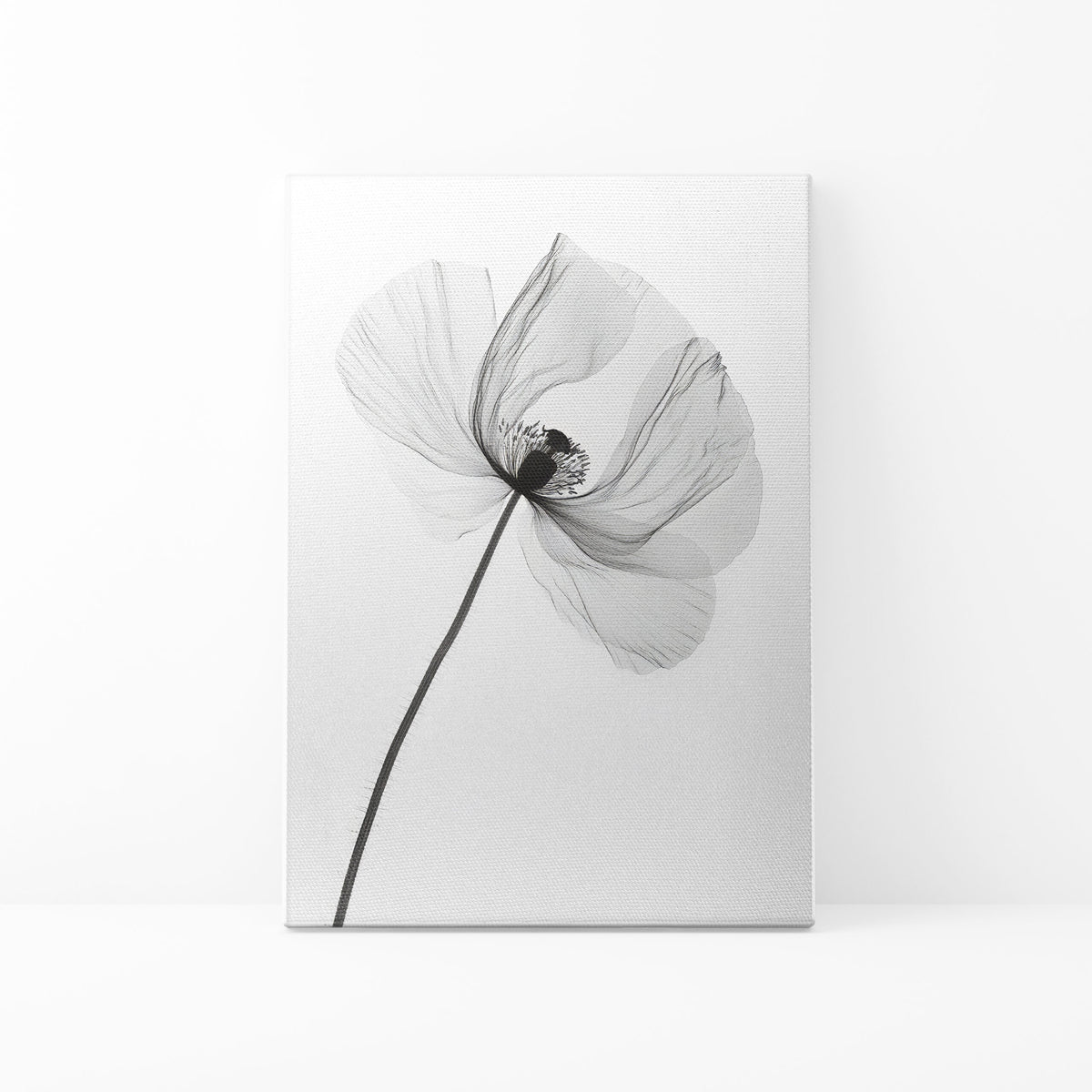 Black And White Poppy Minimalist Wall Art