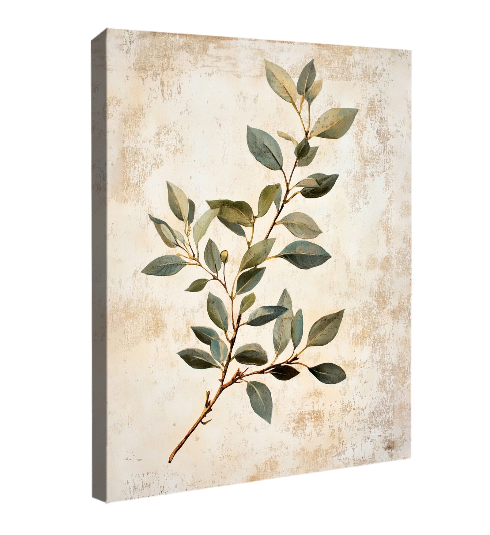 Minimal Boho Botanical Leaf Branch Canvas Wall Art