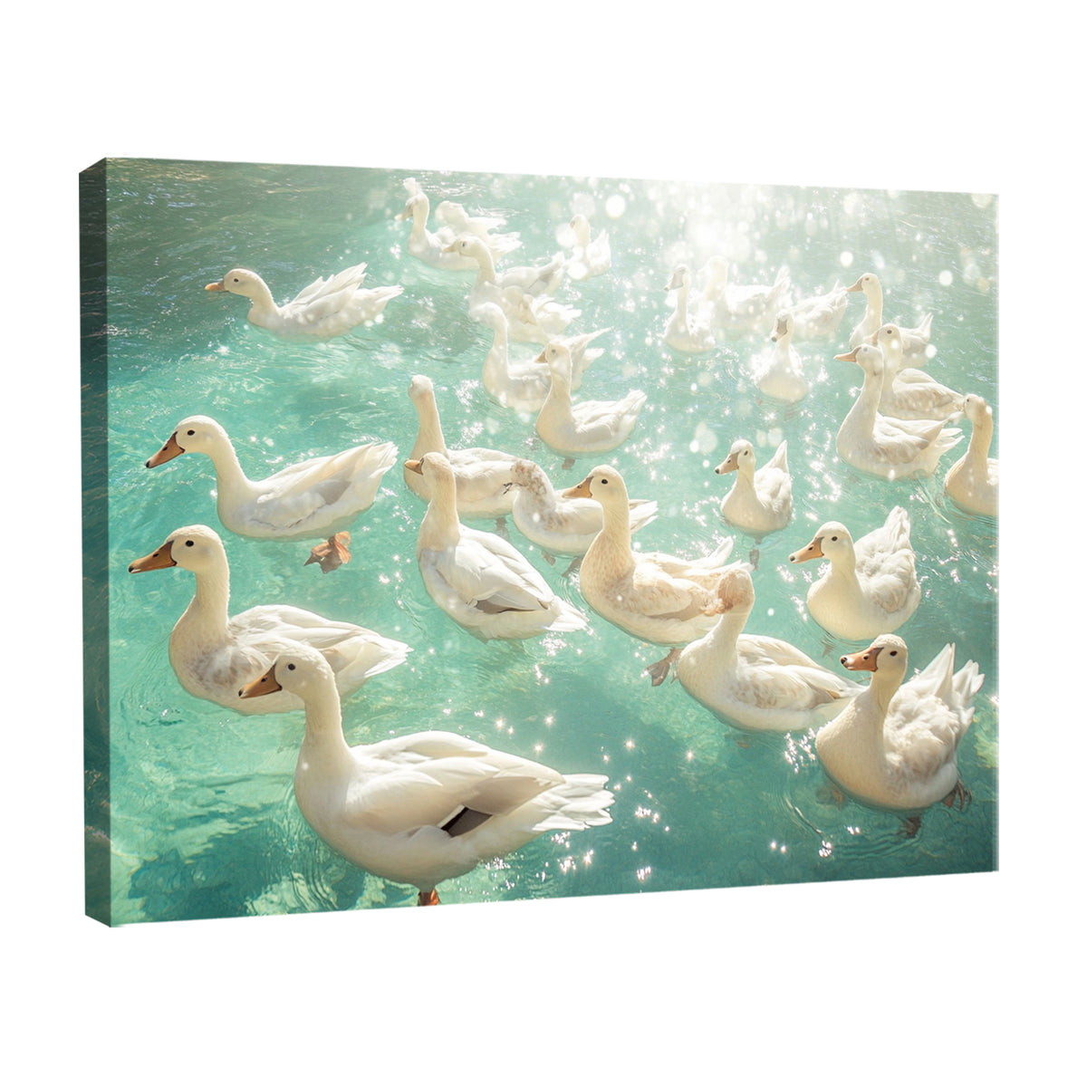 Ducks Swimming Modern Wall Artwork