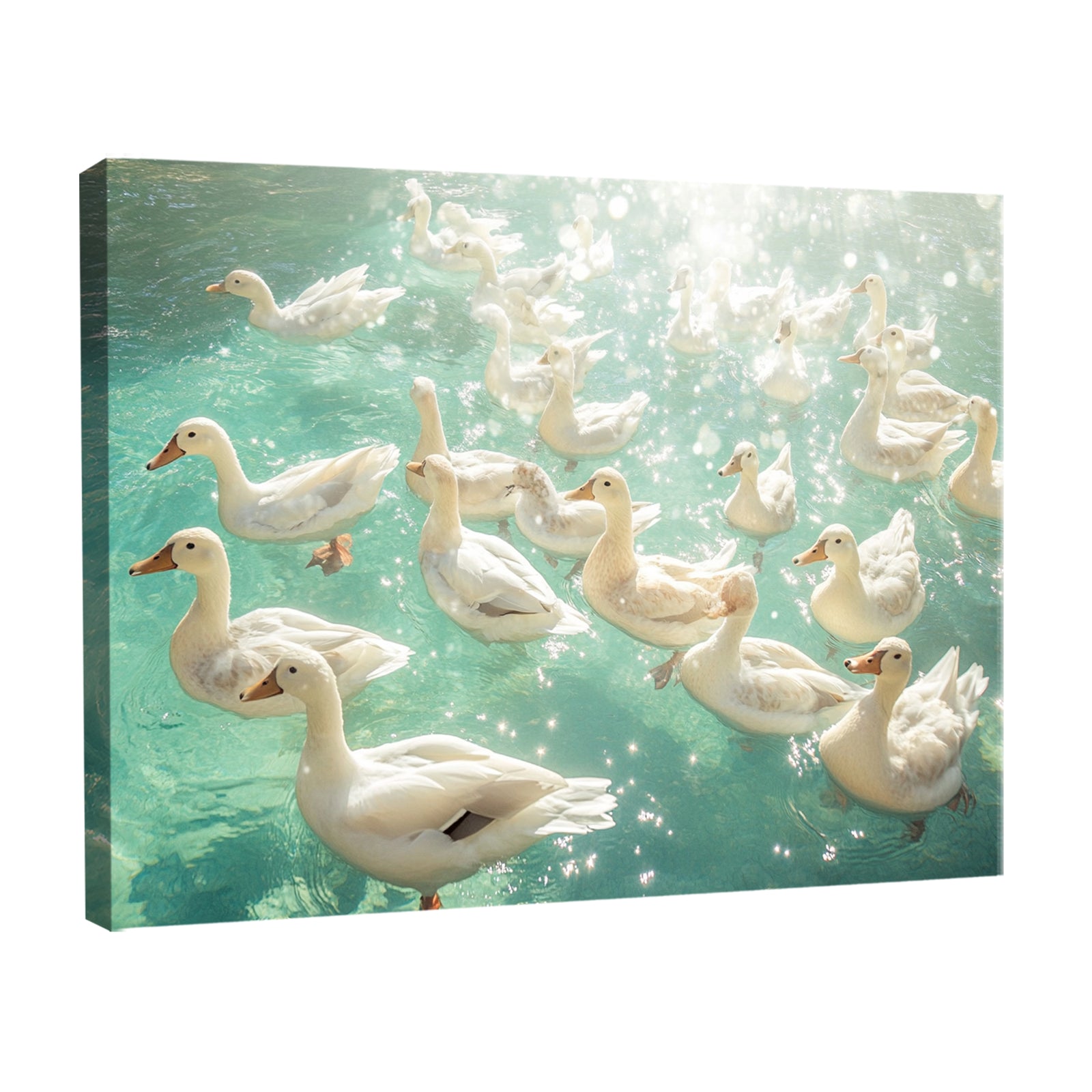 Ducks Swimming Modern Wall Artwork