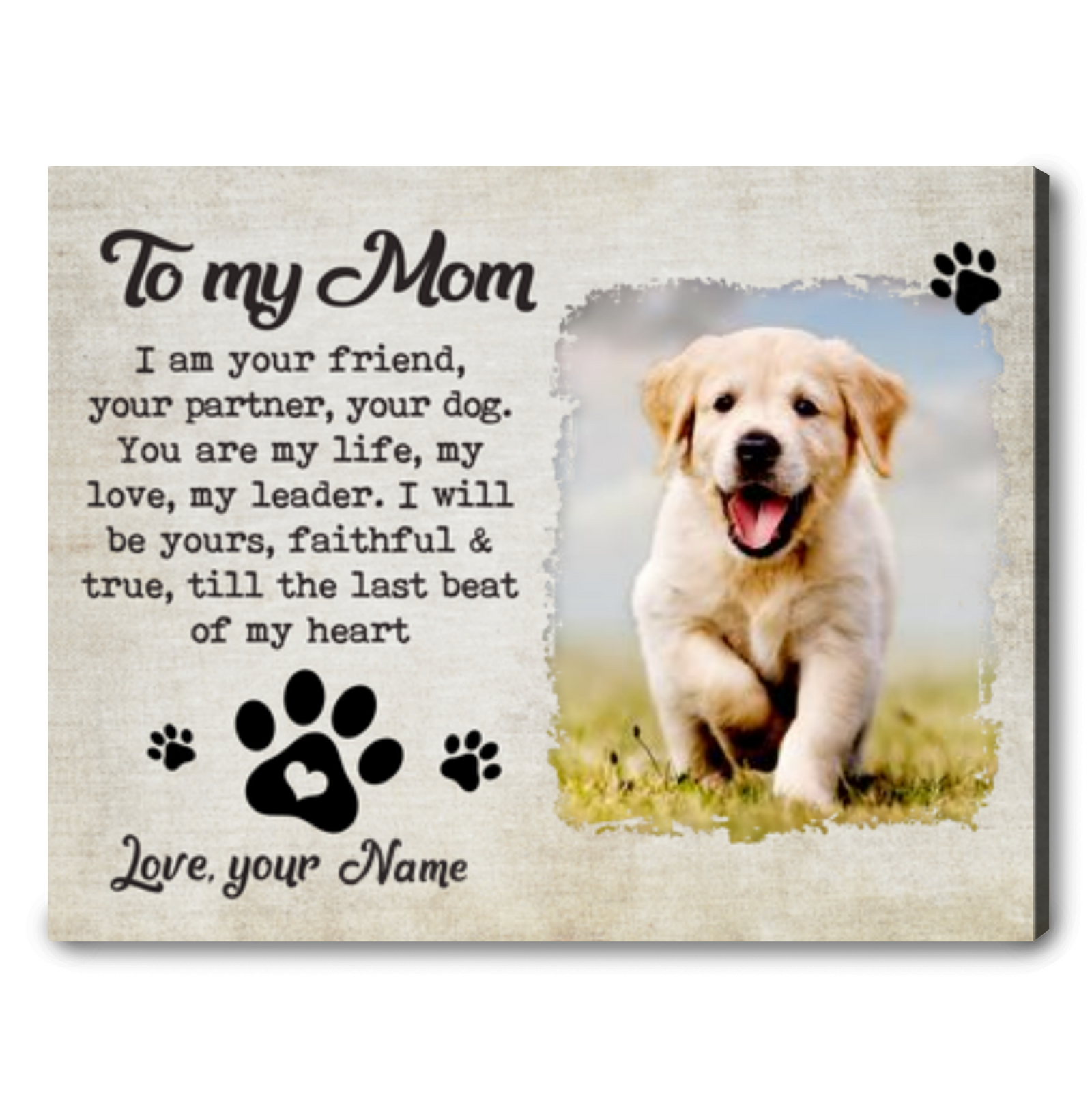 Happy Mothers Day Dog Mom Personalized Gift For Dog Mom I Am Your Friend Your Partner