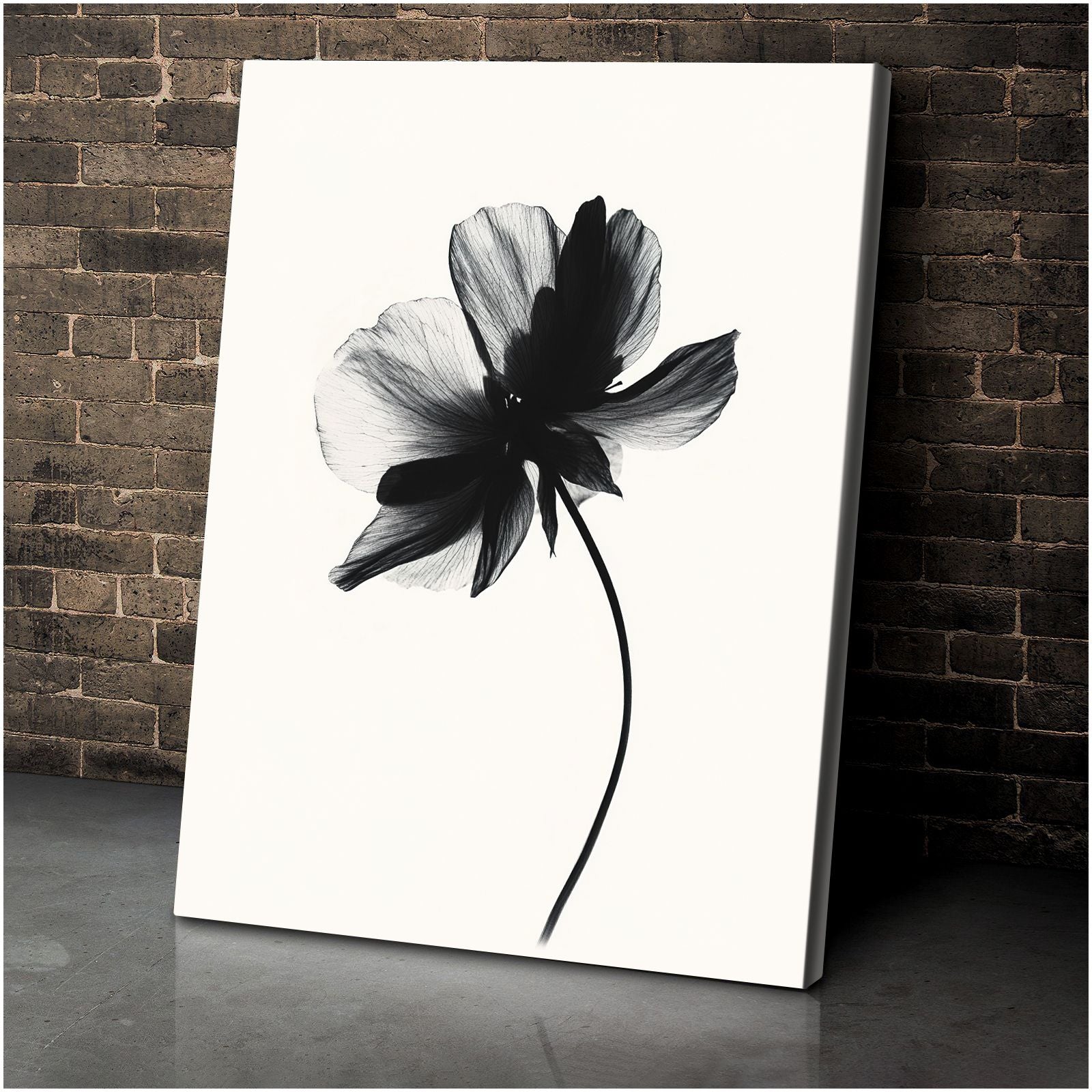 Shadow Bloom Abstract Floral Canvas Print for Living Room