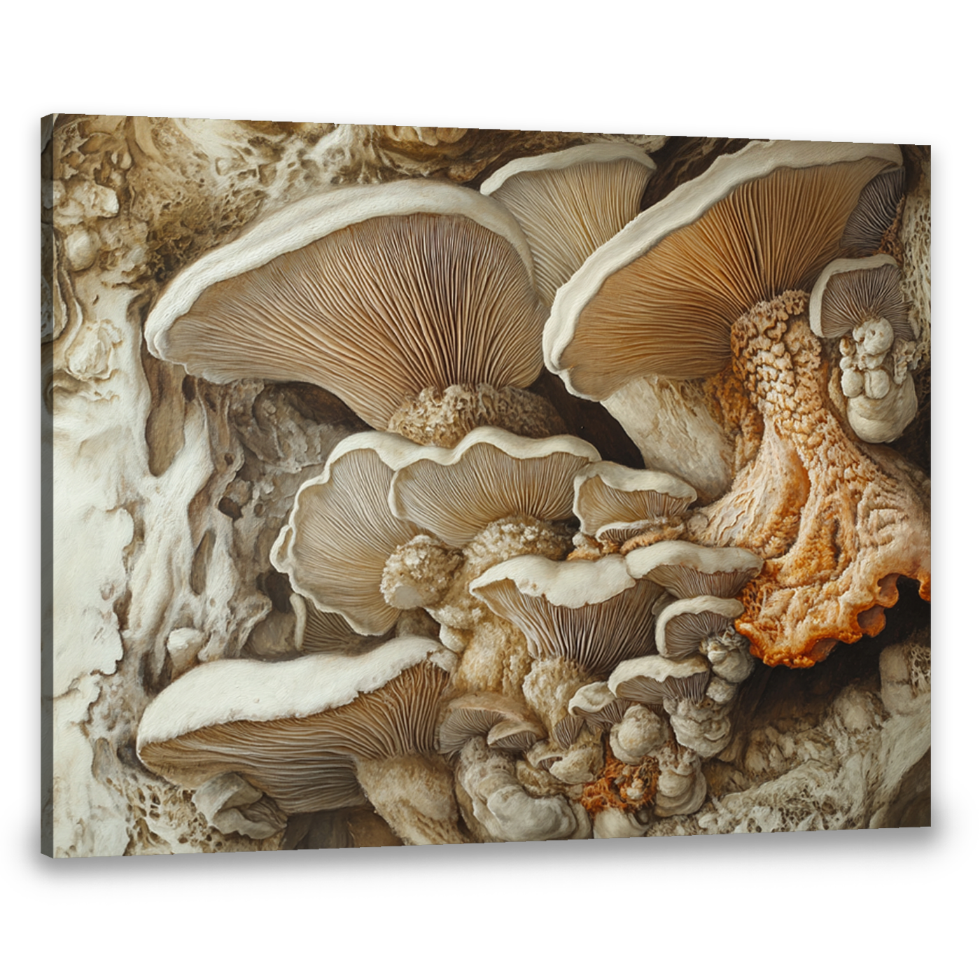 Earthly Fungi Nature Abstract Canvas Wall Art for Living Room
