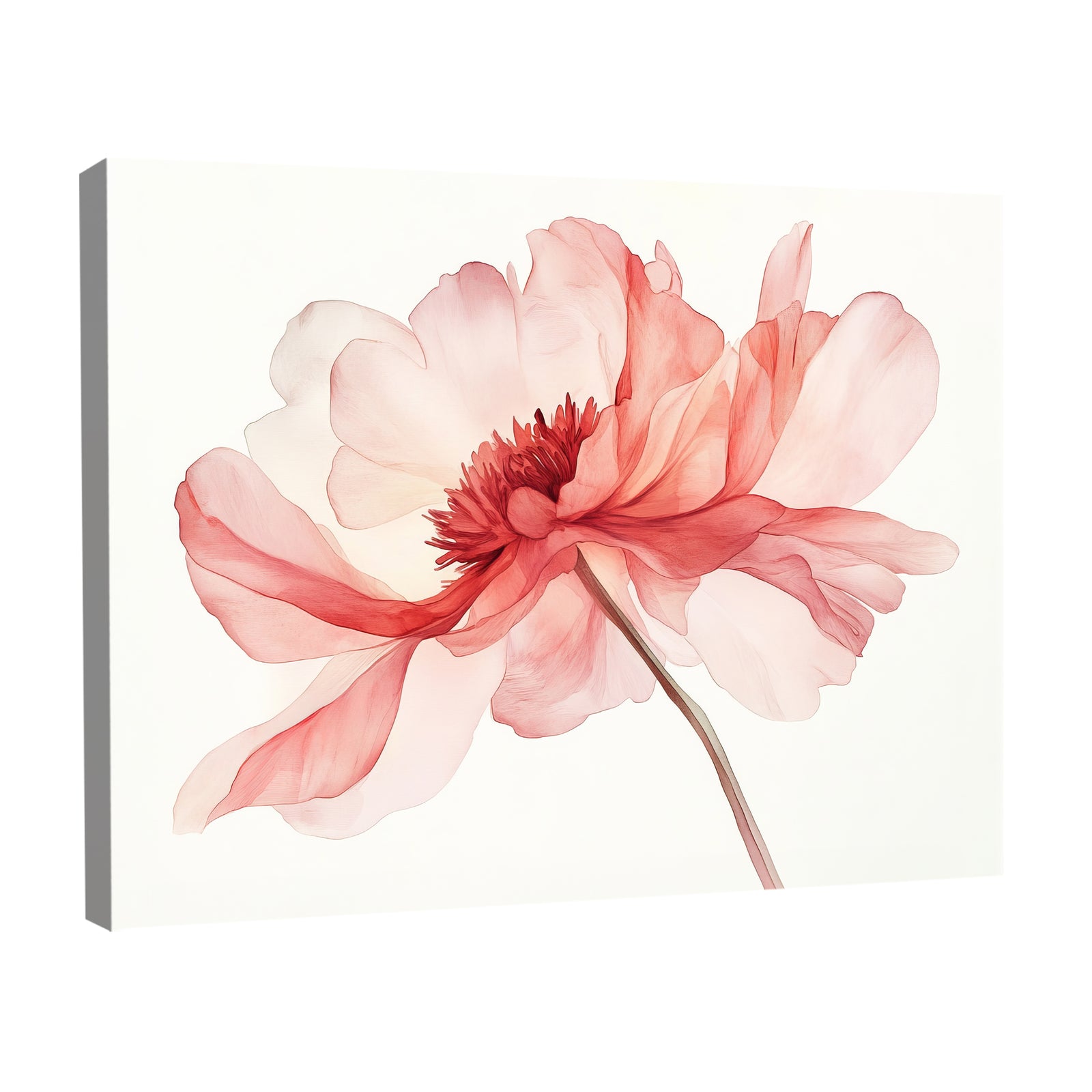Beautiful Watercolor Peony Abstract Wall Art