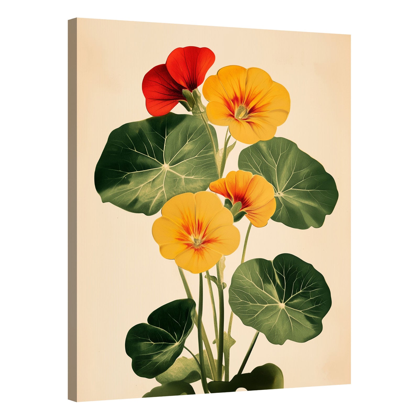 Botanical Retro Bloom Floral Vintage Artwork
