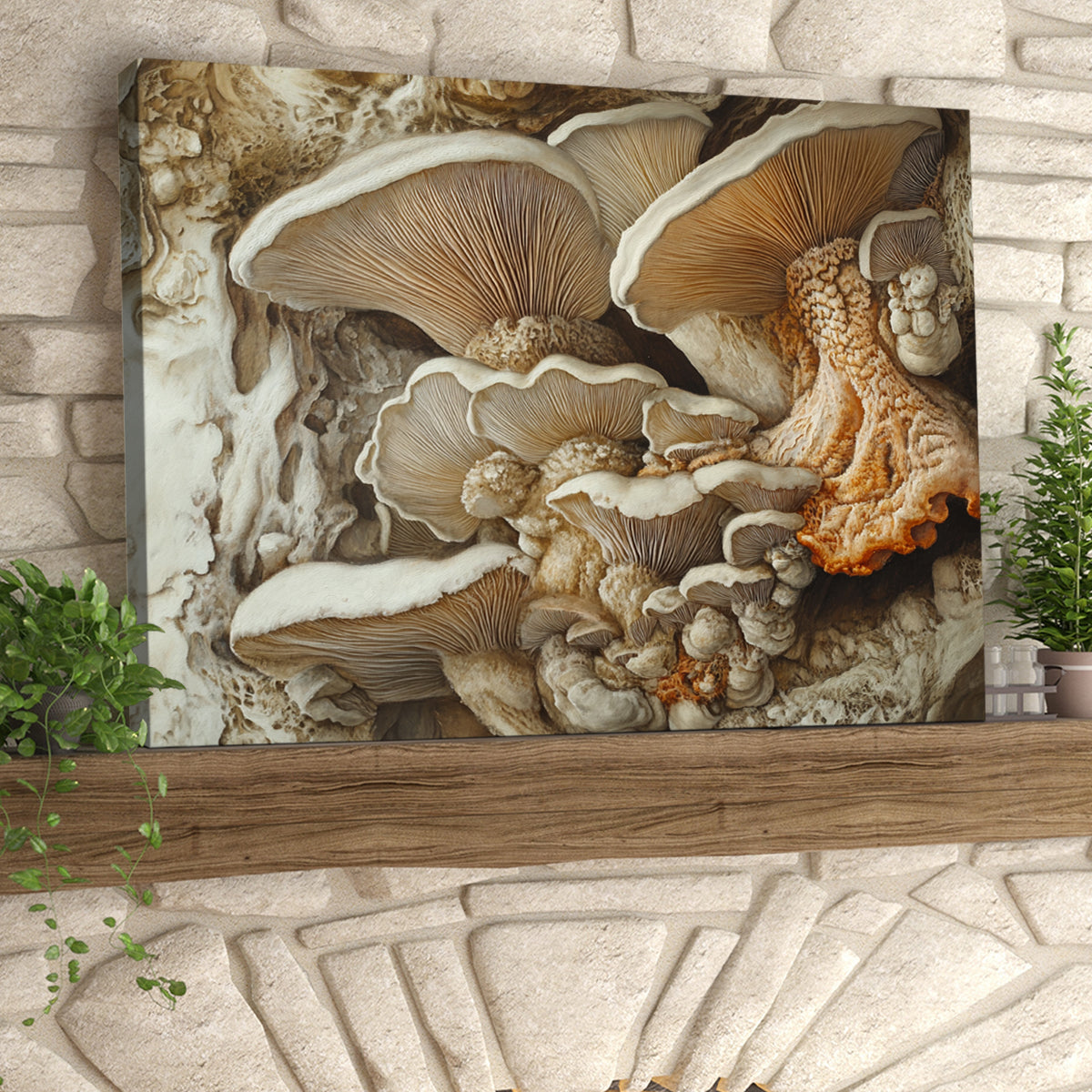 Earthly Fungi Nature Abstract Canvas Wall Art for Living Room